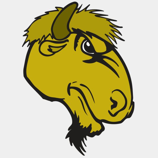 AR BUFFALO 14 RC Thumbnail