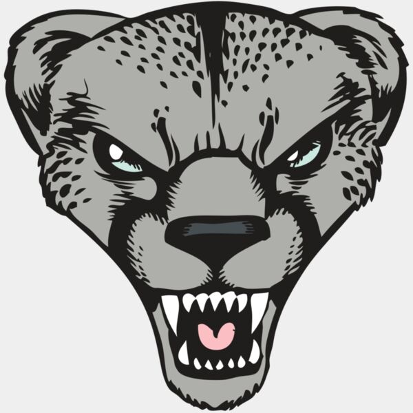 BAW CHEETAH 15 RC Thumbnail