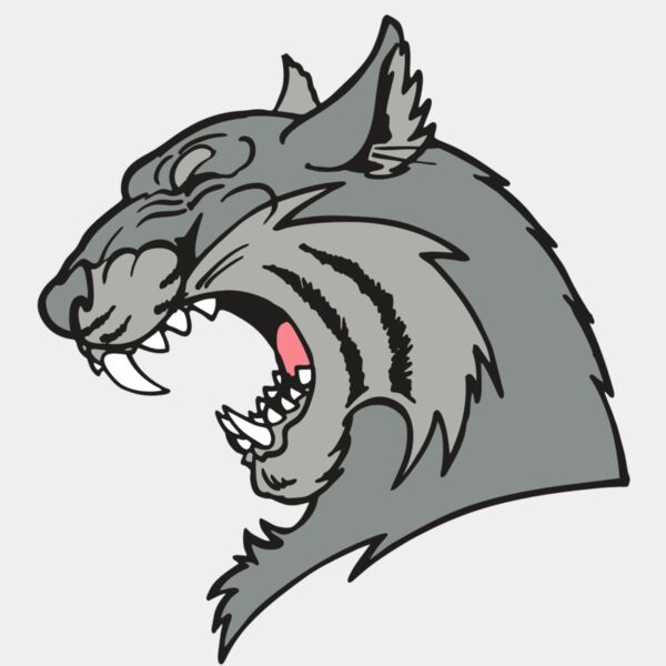 AR WILDCAT 41 RC Thumbnail