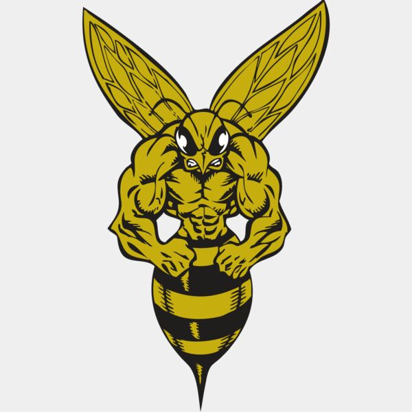 BAW BEE 06 RC Thumbnail