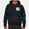 Heavy Blend Adult Hooded Sweatshirt Thumbnail