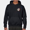 Heavy Blend Adult Hooded Sweatshirt Thumbnail