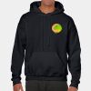 Heavy Blend Adult Hooded Sweatshirt Thumbnail