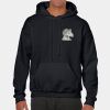 Heavy Blend Adult Hooded Sweatshirt Thumbnail