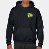 Heavy Blend Adult Hooded Sweatshirt Thumbnail