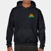 Heavy Blend Adult Hooded Sweatshirt Thumbnail