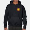Heavy Blend Adult Hooded Sweatshirt Thumbnail