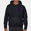 Heavy Blend Adult Hooded Sweatshirt Thumbnail