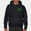 Heavy Blend Adult Hooded Sweatshirt Thumbnail