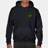 Heavy Blend Adult Hooded Sweatshirt Thumbnail