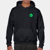 Heavy Blend Adult Hooded Sweatshirt Thumbnail