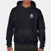Heavy Blend Adult Hooded Sweatshirt Thumbnail