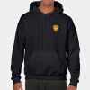 Heavy Blend Adult Hooded Sweatshirt Thumbnail