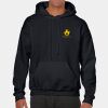 Heavy Blend Adult Hooded Sweatshirt Thumbnail
