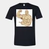Unisex Softstyle® T-Shirt Thumbnail