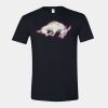 Unisex Softstyle® T-Shirt Thumbnail